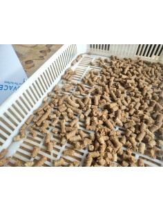 Taglio pellet Automatico 2